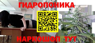 трава Апшеронск