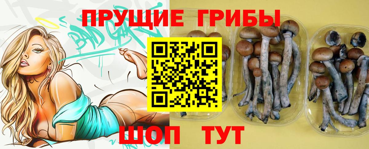 Псилоцибиновые грибы Magic Shrooms  Вход с VPN  Великие Луки 