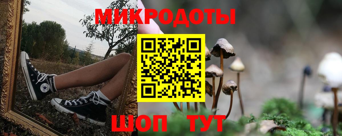 Псилоцибиновые грибы мицелий Великие Луки